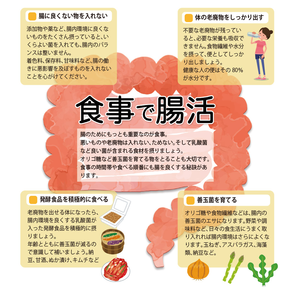 大きな腸の食事で腸を活発に