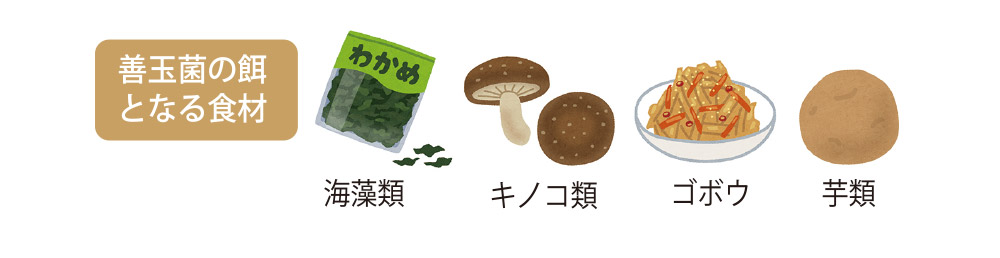 腸の活動を活発にする方法