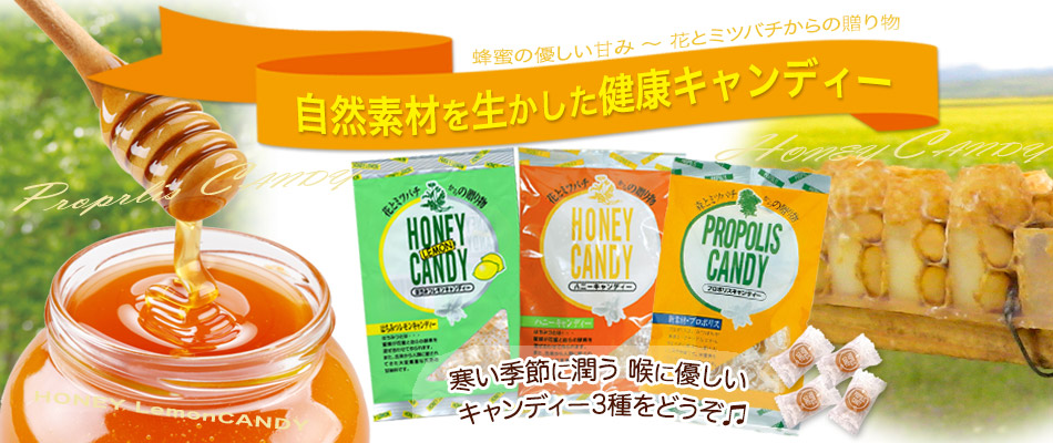 プロポキャンディ3種類の説明
