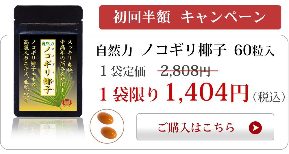 自然力 ノコギリ椰子 初回限定１袋1 404円 高麗人参 亜鉛配合 大日ヘルシーフーズ