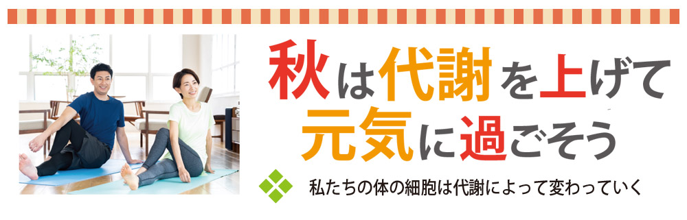 秋は代謝を上げて健康にメイン