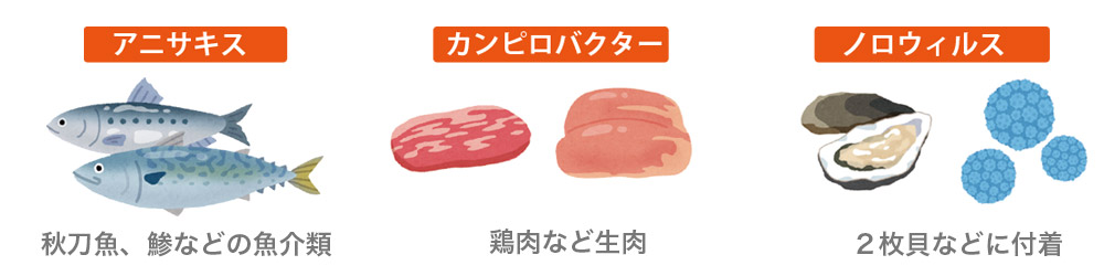 食中毒について原因菌と感染源