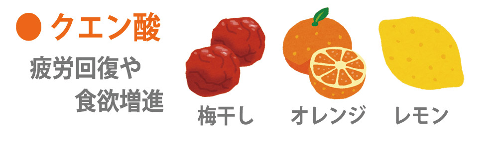 栄養素クエン酸