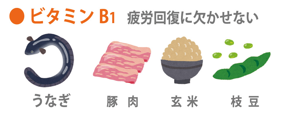 栄養素ビタミンBワン