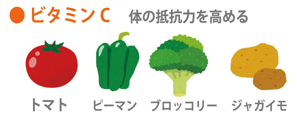 栄養素ビタミンC
