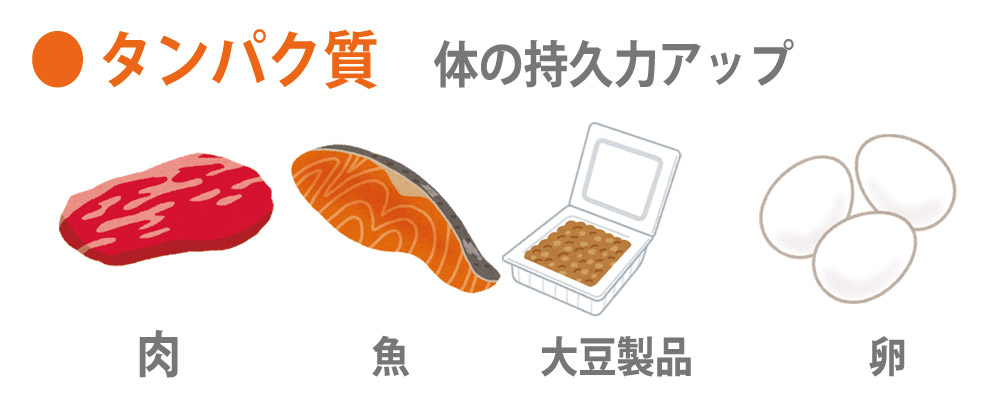 栄養素タンパク質