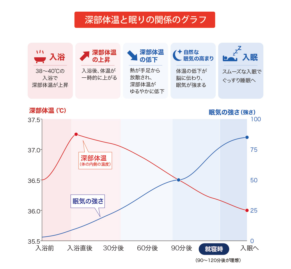 深部体温と眠りの関係のグラフ