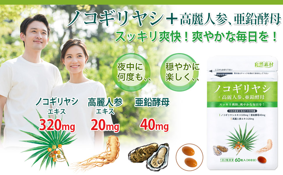 ノコギリ椰子メイン