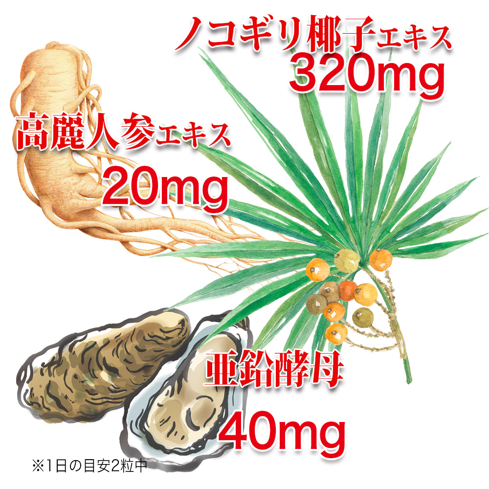 １日の目安２粒中：ノコギリ椰子エキス　120mg、高麗人参エキス20mg、亜鉛酵母 40mg配合。