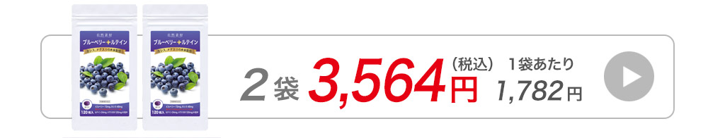 ブルーベリー120粒1袋へ購入へ飛ぶバナー