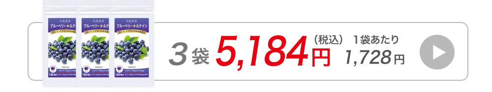 ブルーベリー120粒1袋へ購入へ飛ぶバナー