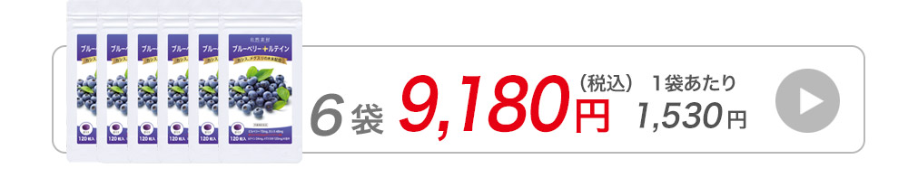 ブルーベリー120粒1袋へ購入へ飛ぶバナー