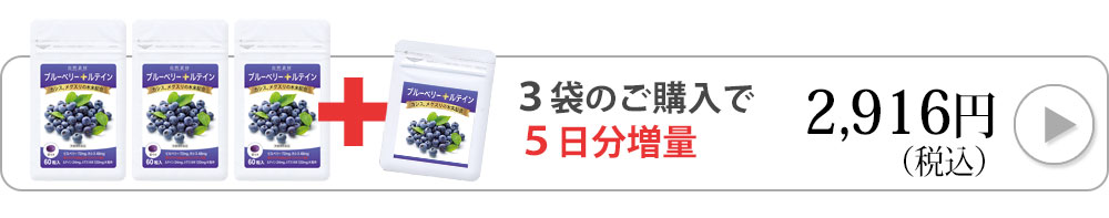 ブルーベリー60粒3袋へ購入へ飛ぶバナー