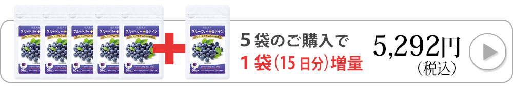 ブルーベリー60粒6袋へ購入へ飛ぶバナー