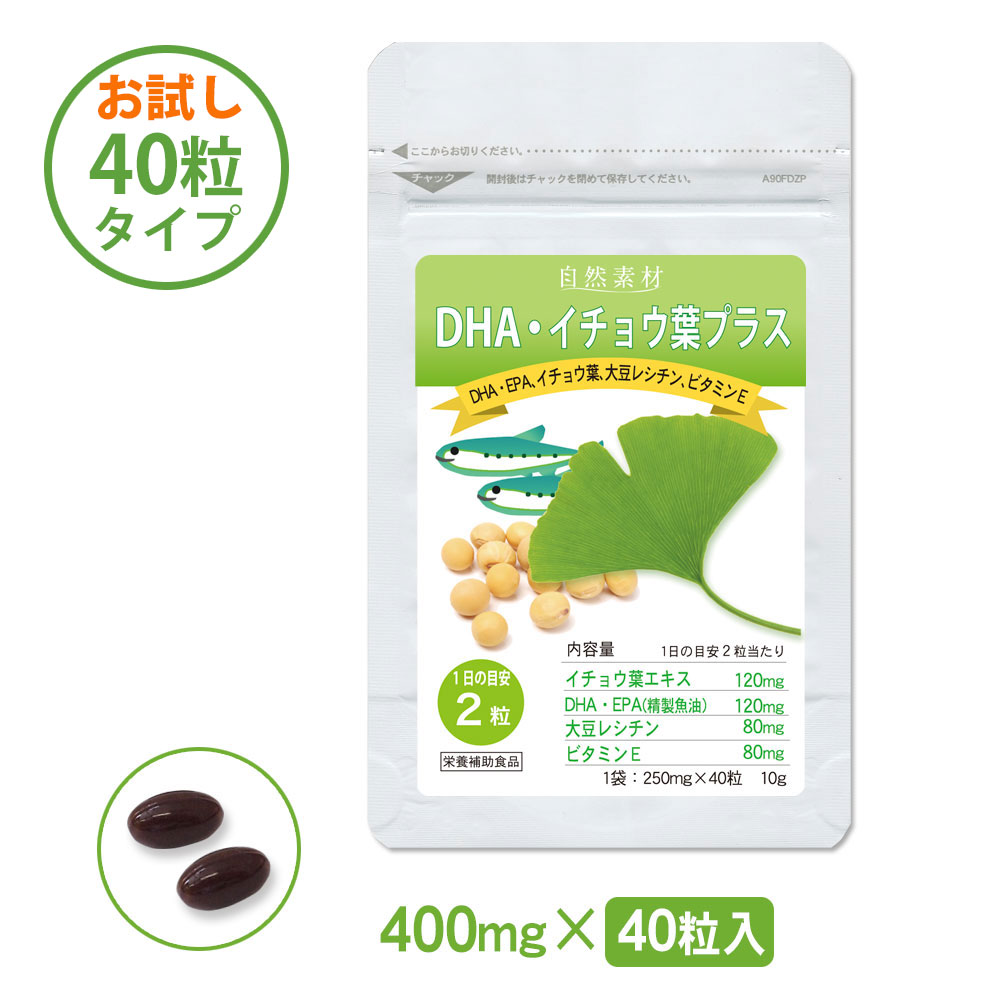 オリヒロ株式会社 PD イチョウ葉エキス＆DHA 60粒×6個セット PD イチョウ葉＆DHA 30日分 60粒 ORIHIRO｜オリヒロプランデュ 通販
