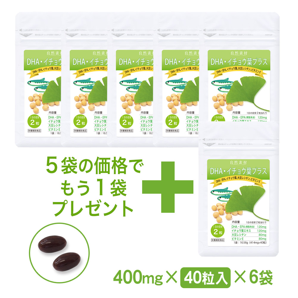DHA・イチョウ葉プラス：DHA　EPA　イチョウ葉　大豆レシチン　ビタミンE入　サプリメント　ハーフタイプ　6袋セット（約120日分）