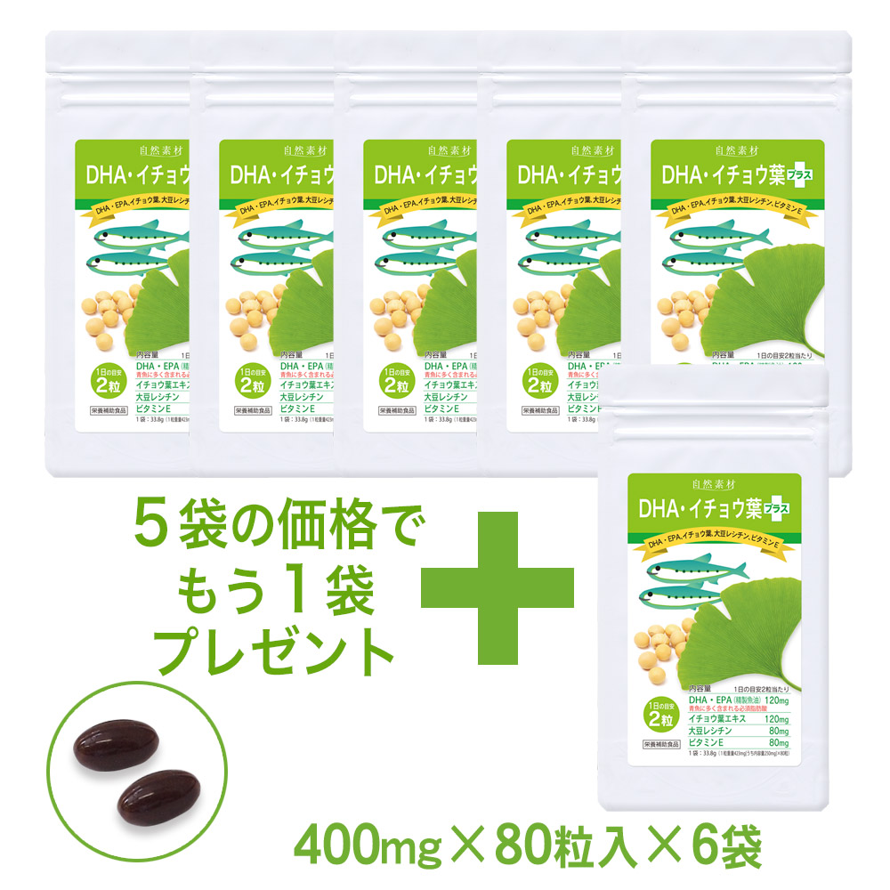 DHA・イチョウ葉プラス：DHA　EPA　イチョウ葉　大豆レシチン　ビタミンE入　サプリメント 6袋セット（約240日分）