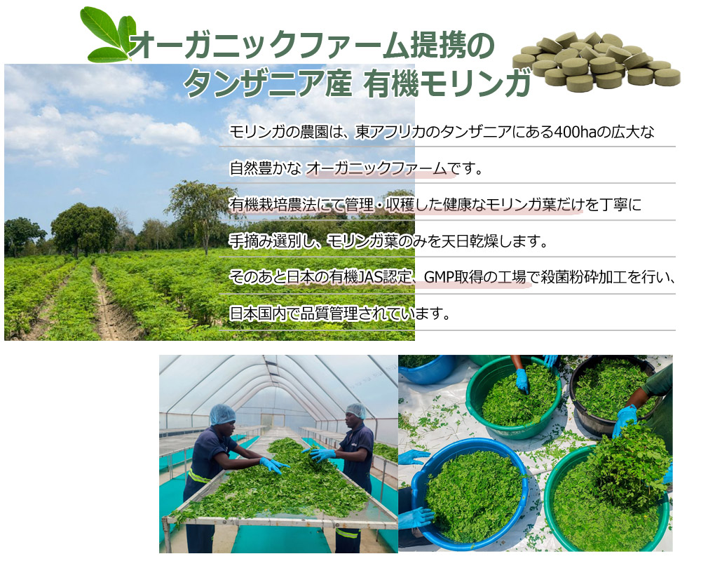 世界品質のタンザニア産日本人の農園長が指導しています