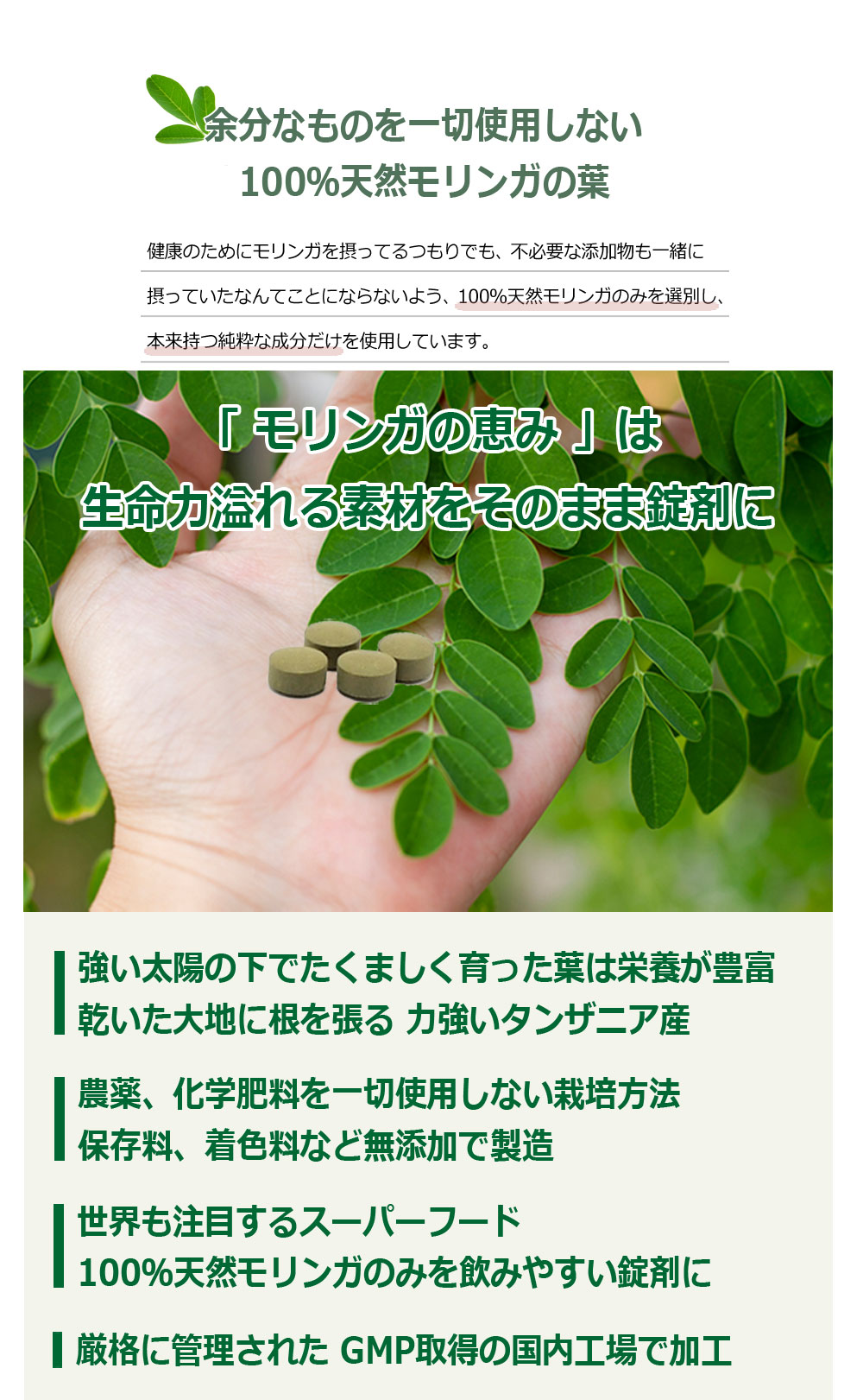 余分なものを一切使用しない100％天然のモリンガの葉