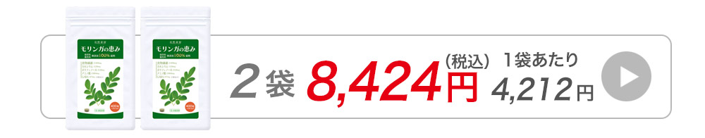 モリンガの恵400粒入2袋へ飛ぶバナー