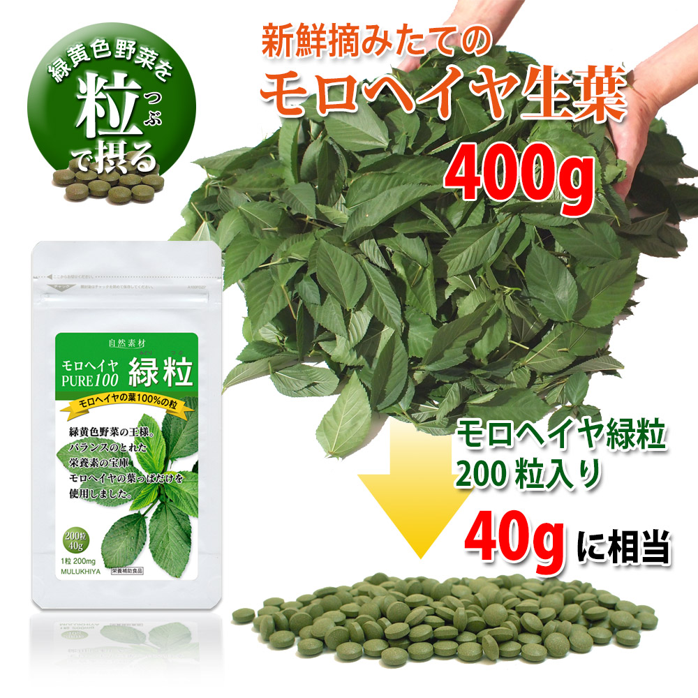 新鮮摘みたてのモロヘイヤ生葉400gがモロヘイヤ緑粒200粒入りの40gに相当