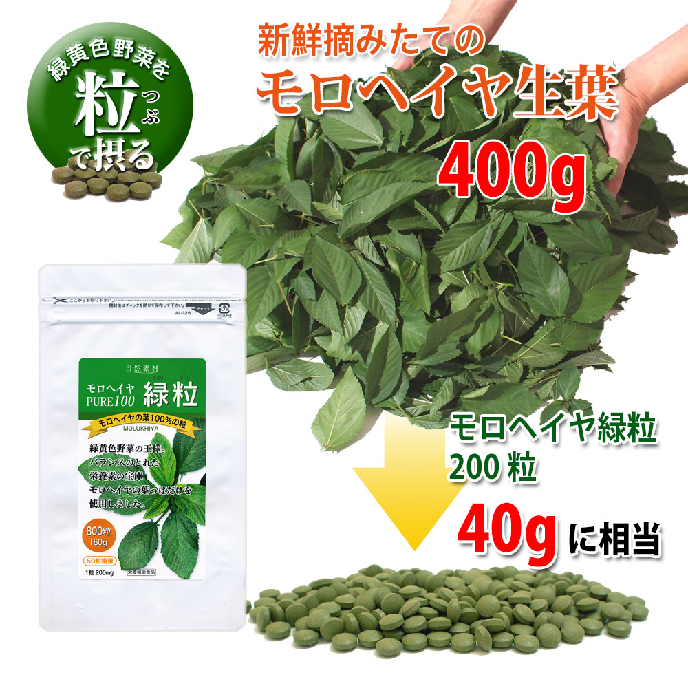新鮮摘みたてのモロヘイヤ生葉400gがモロヘイヤ緑粒200粒入りの40gに相当