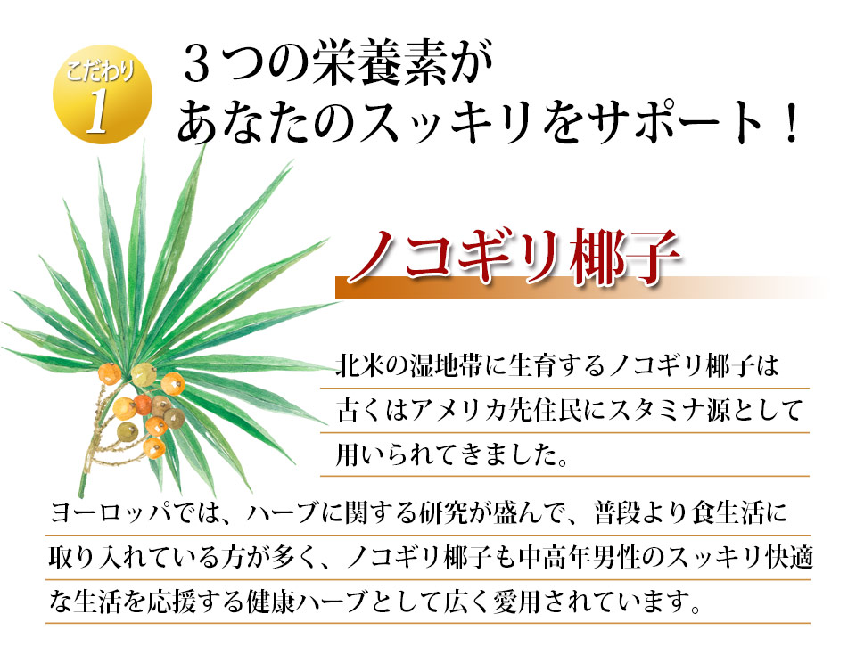 ノコギリ椰子の素材説明