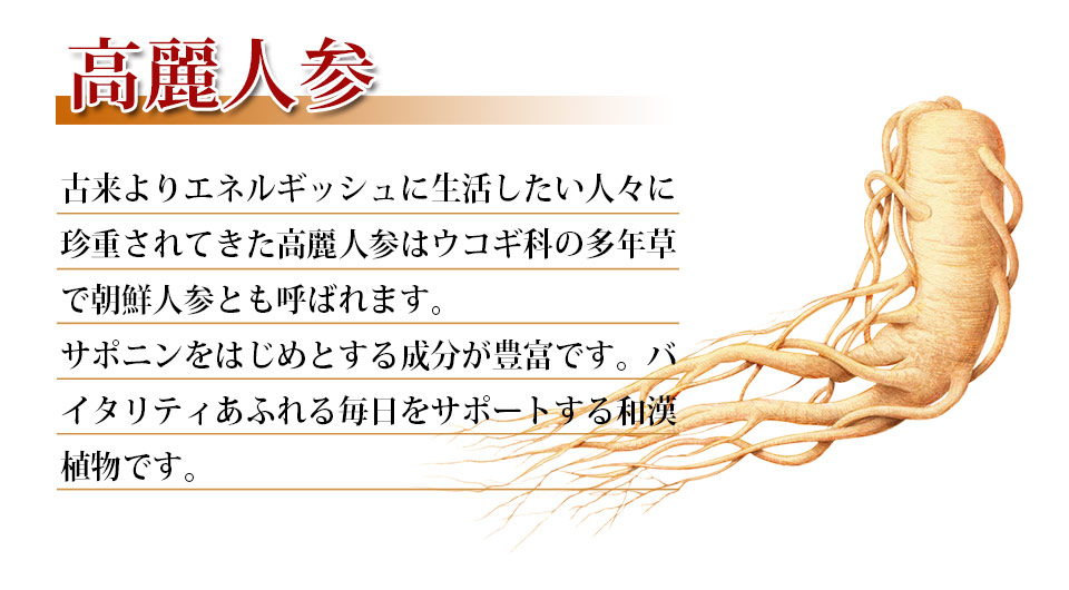 高麗人参の素材説明