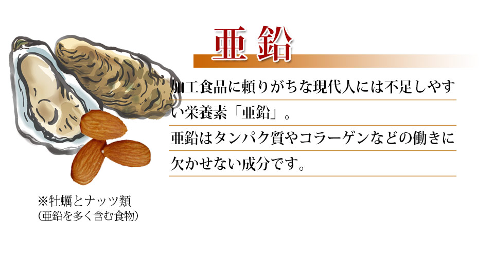 亜鉛酵母の素材説明