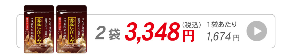 霊芝にんにくの力30粒入1袋へ飛ぶバナー
