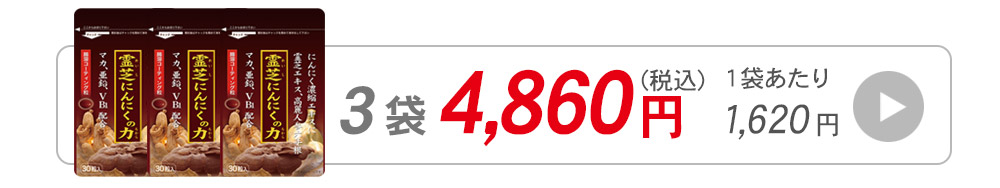 霊芝にんにくの力30粒入1袋へ飛ぶバナー