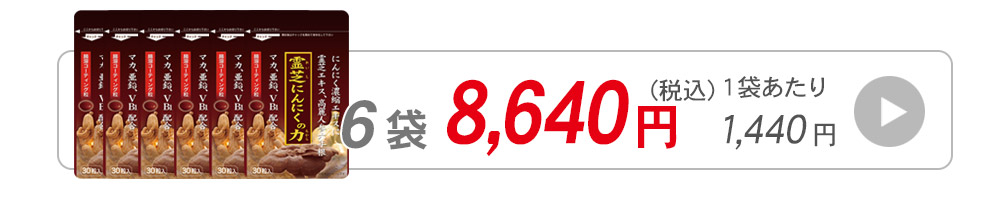 霊芝にんにくの力30粒入1袋へ飛ぶバナー