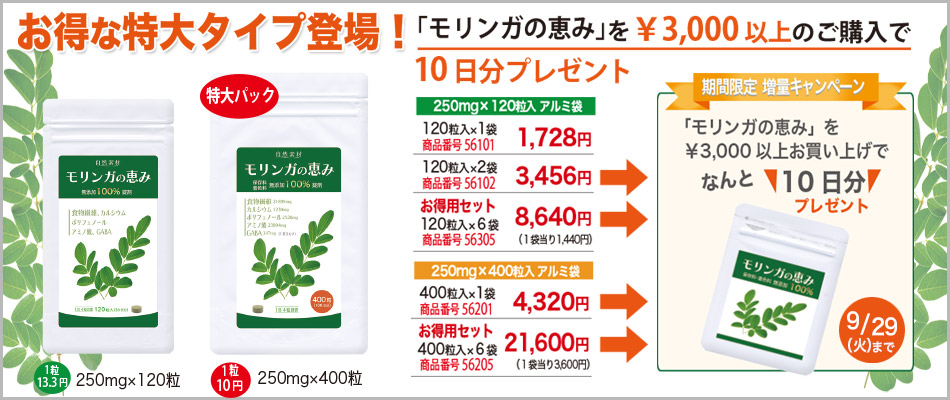 モリンガの恵み3,000円以上のご購入で10日分増量！